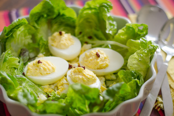 Salada de Folhas Verdes com Ricota e Ovo